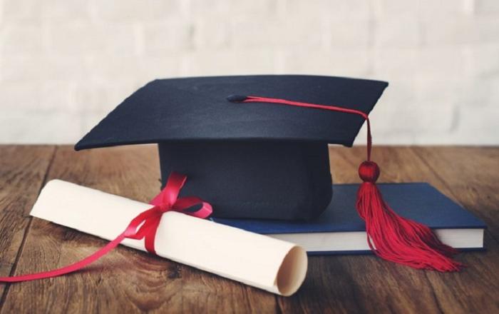 Tesi di specializzazione